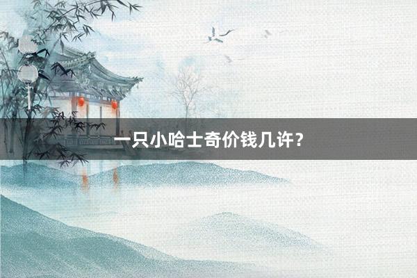 一只小哈士奇价钱几许？